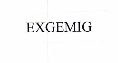 Trademark EXGEMIG