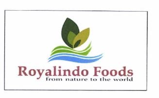 Trademark ROYALINDO FOODS + LOGO