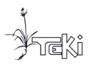 Trademark TEKI + LOGO