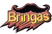 Trademark BRINGAS + LOGO