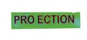 Trademark PRO ECTION