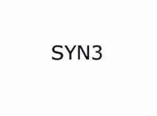 Trademark SYN3