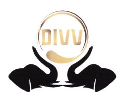 Trademark DIVV + LOGO