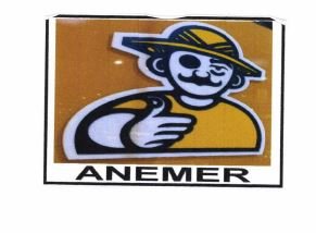 Trademark ANEMER + LOGO