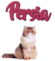 Trademark PERSIA + LOGO