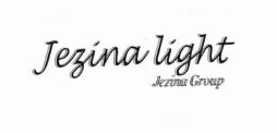 Trademark JENZINA LIGHT+ LOGO