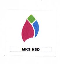 Trademark MKS HSD