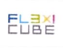 Trademark FLEXICUBE