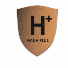 Trademark H+ LOGO HANA PLUS