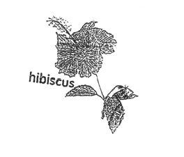 Trademark HIBISCUS + LOGO