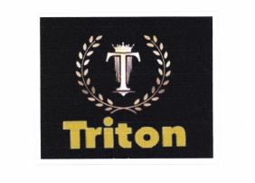 Trademark TRITON + LOGO