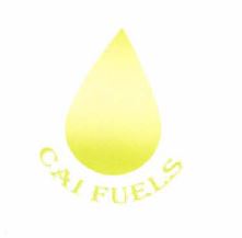 Trademark CAI FUELS + LOGO