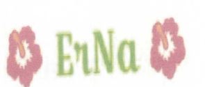Trademark ERNA