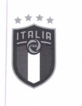 Trademark ITALIA FIGC + LOGO