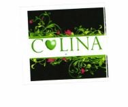 Trademark COLINA + LOGO