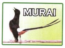 Trademark MURAI + LOGO