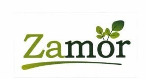 Trademark ZAMOR + LOGO