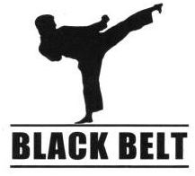 Trademark BLACK BELT + LUKISAN