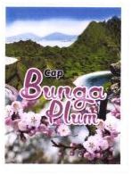 Trademark CAP BUNGA PLUM + LUKISAN