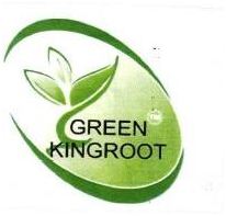 Trademark GREEN KINGROOT + LOGO