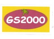 Trademark GS2000 + LOGO