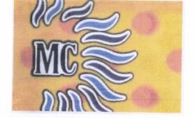 Trademark MC + LOGO