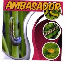 Trademark AMBASADOR + LUKISAN