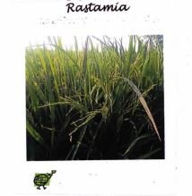 Trademark RASTAMIA + LUKISAN