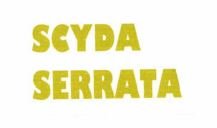 Trademark SCYDA SERRATA