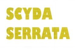 Trademark SCYDA SERRATA