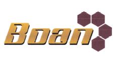 Trademark BOAN + LOGO