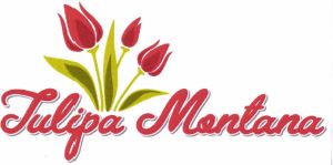 Trademark TULIPA MONTANA + LOGO