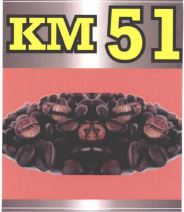 Trademark KM 51 + LUKISAN