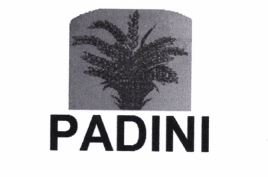 Trademark PADINI + logo