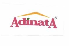 Trademark ADINATA