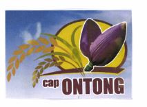 Trademark CAP ONTONG + LOGO