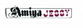 Trademark Amiya Jessy + LOGO