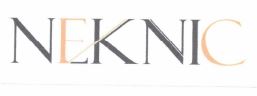 Trademark NEKNIC + LOGO