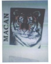 Trademark MACAN + LUKISAN