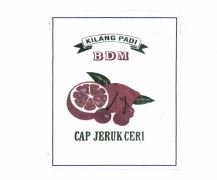 Trademark CAP JERUK CERI + LOGO