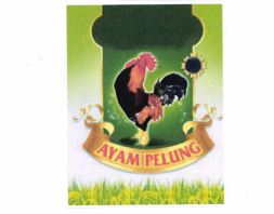 Trademark AYAM PELUNG + LOGO