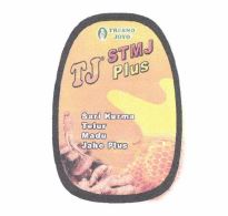 Trademark TJ STMJ PLUS + LUKISAN