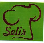 Trademark SELIR + LOGO