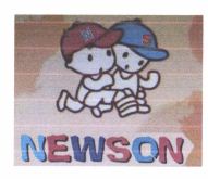 Trademark NEWSON