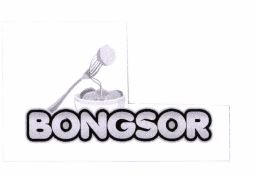 Trademark BONGSOR