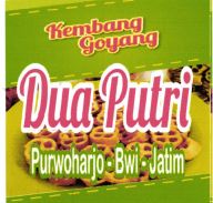 Trademark DUA PUTRI + LUKISAN