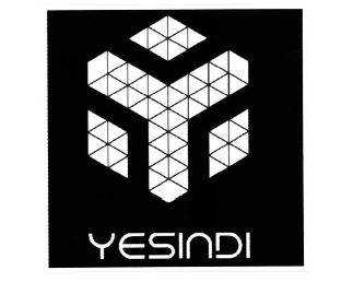 Trademark YESINDI + LOGO