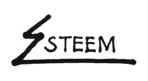 Trademark ESTEEM + LOGO