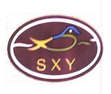 Trademark SXY + LOGO