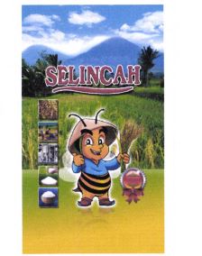 Trademark SELINCAH + LOGO